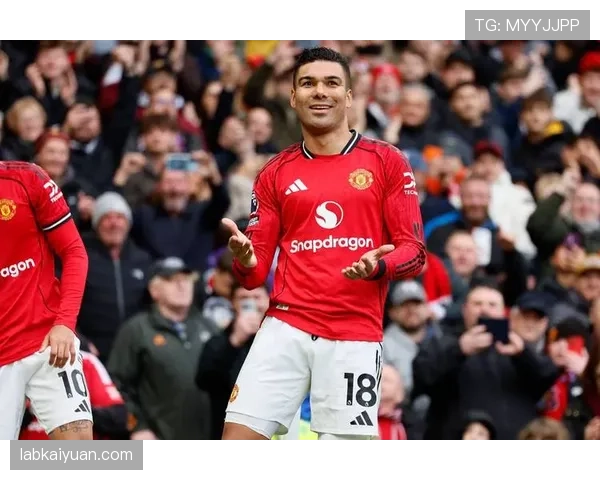 B费的战术价值如何受限于比赛稳定性？