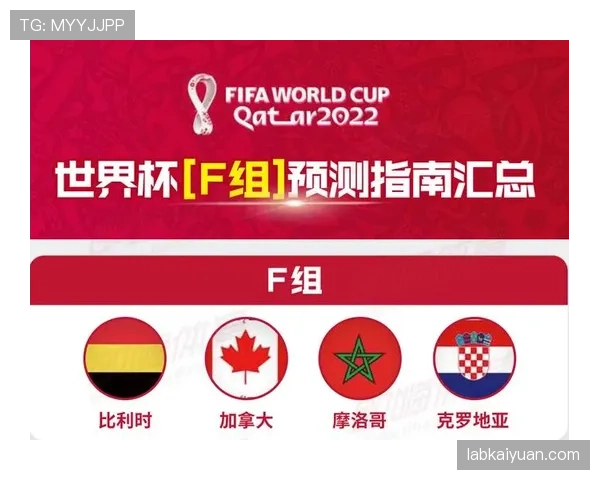世界杯F组积分预测与排名分析